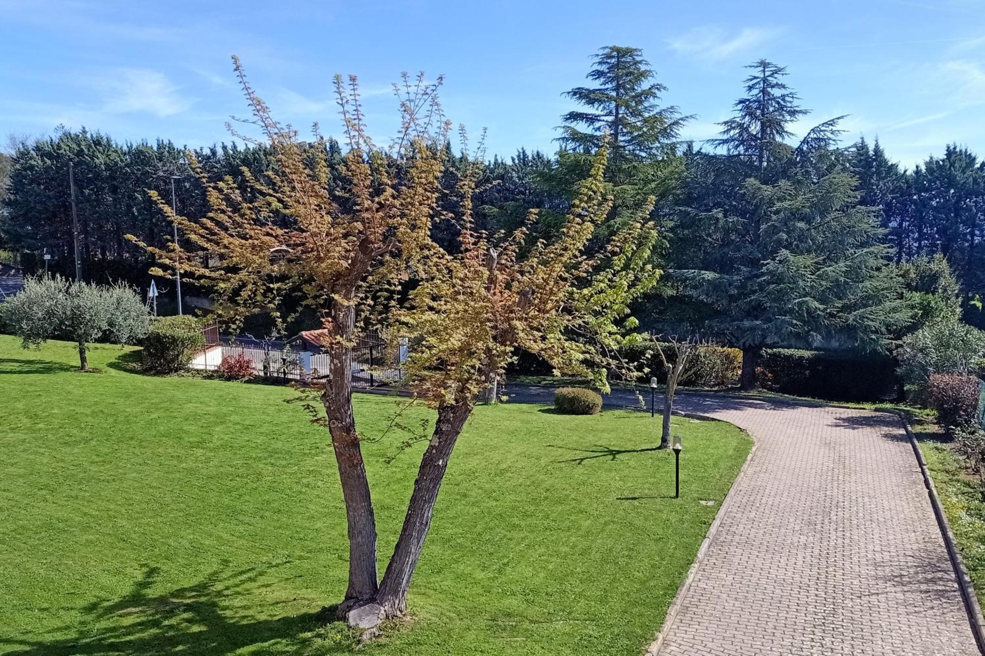 安吉亚里Casa Del Carmine别墅 外观 照片